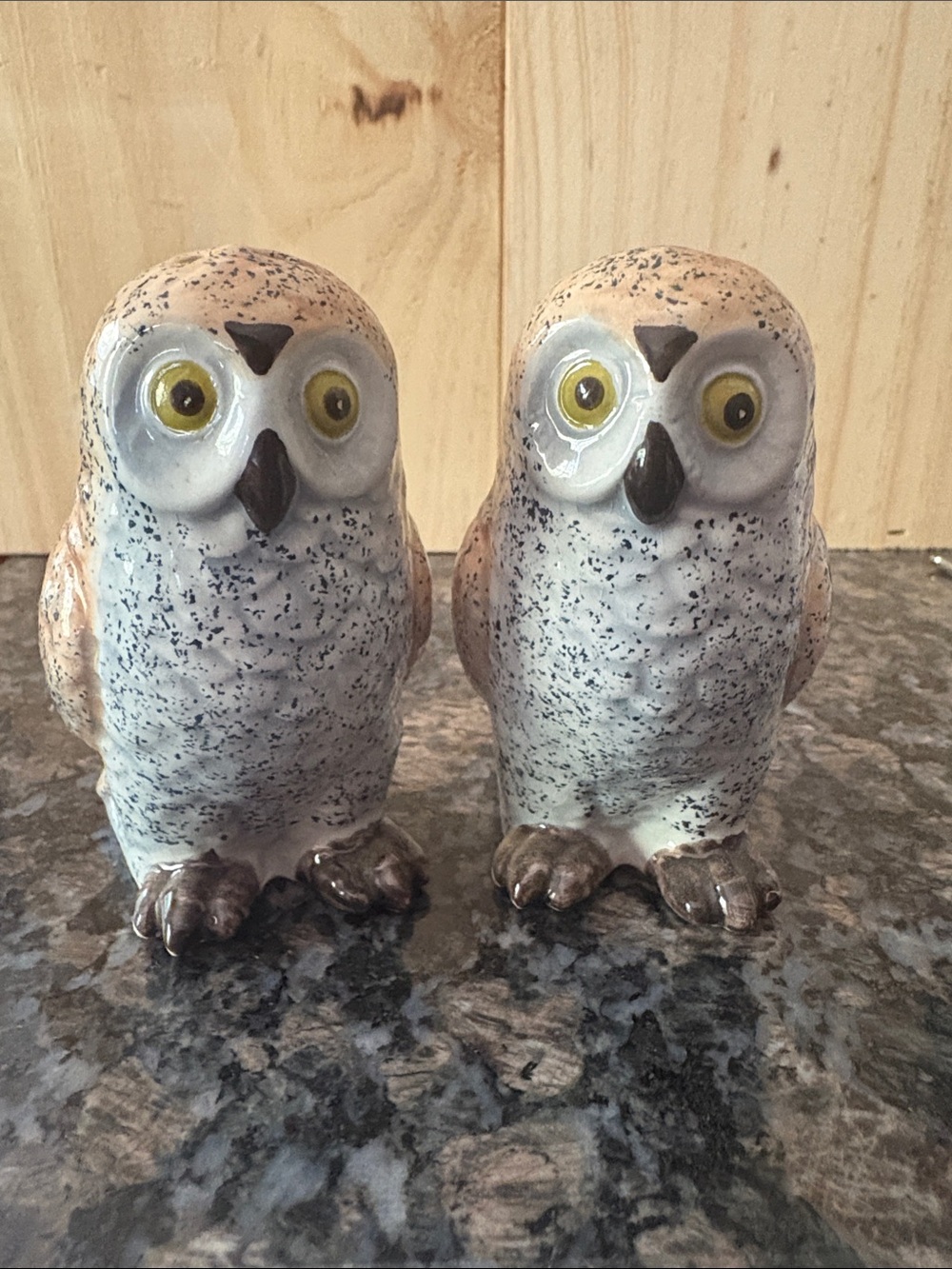 Ceramic Owl Salt and Pepper Shakers